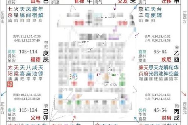 2025年2月20日寅时男命紫微斗数全解盘