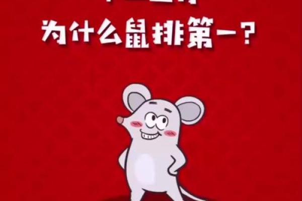 南北通商打一生肖今天晚上开什么生肖(南北通商猜生肖) 南北通商打一生肖今天晚上开什么生肖(南北通商猜生肖)