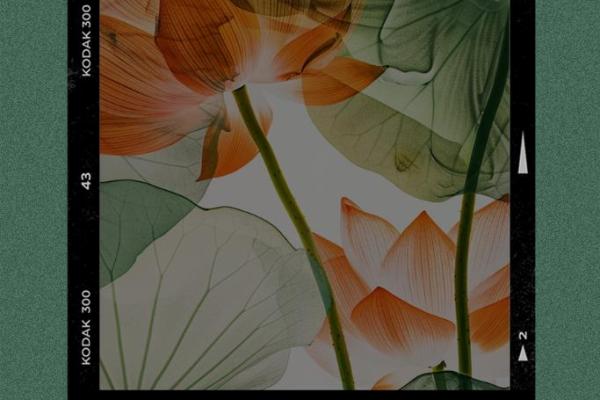 缘分尽了 缘分尽了如何优雅地告别与重新开始 缘分尽了 缘分尽了如何优雅地告别与重新开始