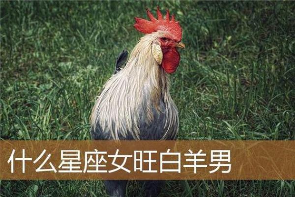 69年属鸡白羊座女(1969年属鸡白羊座女的婚姻)