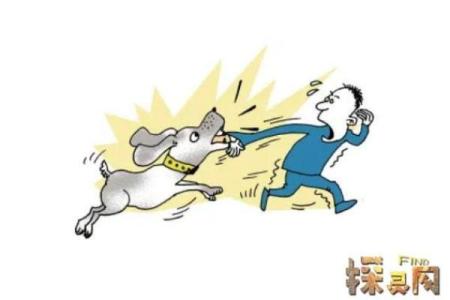 女人梦见狗咬是什么预兆