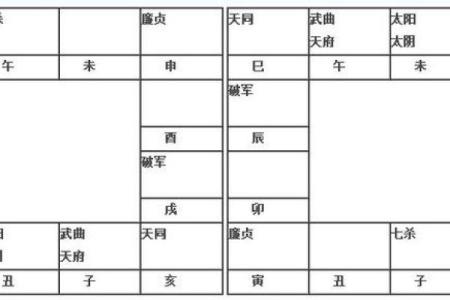 2025年3月23日丑时男命紫微斗数全解盘