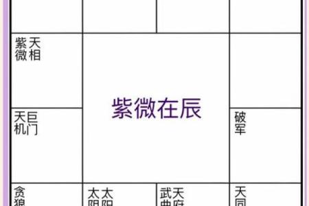 2025年2月15日子时男命紫微斗数全解盘