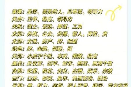 2025年3月27日丑时男命紫微斗数全解盘