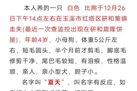 梦到狗是什么征兆 女性