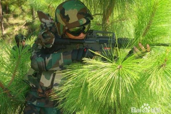 野战之师是什么生肖 野战之师是什么生肖