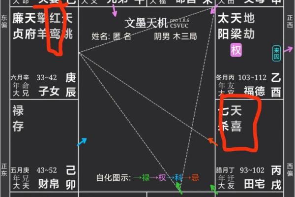 夫妻宫天相解析婚姻运势与命理奥秘 夫妻宫天相解析婚姻运势与命理奥秘