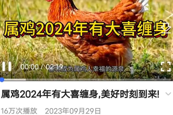 69年属鸡的人2025年运势难关 2025属鸡的大灾之年