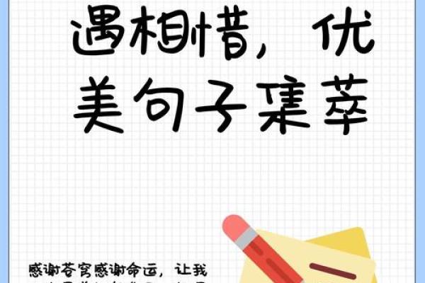 缘分让我们相遇一场美丽的意外