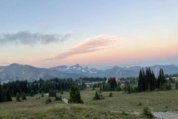 缘分妙不可言命运交织的奇妙旅程 缘分妙不可言命运交织的奇妙旅程