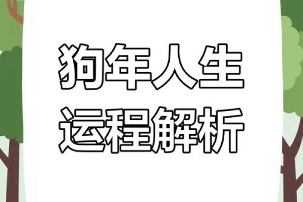 属狗女的命运怎么样_属狗的女生命运好不好 属狗女的命运怎么样_属狗的女生命运好不好