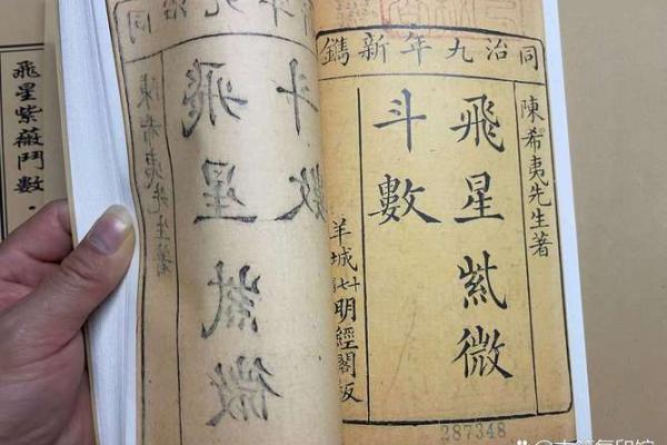 飞星紫微斗数_飞星紫微斗数顾祥弘简体版 飞星紫微斗数_飞星紫微斗数顾祥弘简体版