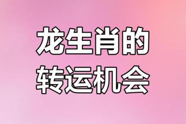 属龙人2025年运势及运程每月运程_属龙2025年全年运势 属龙人2025年运势及运程每月运程_属龙2025年全年运势