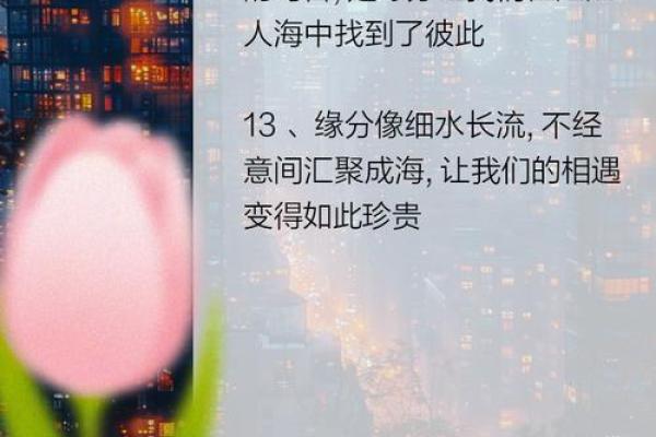 关于缘分的名言_关于缘分的名言30句经典语录揭示人生相遇的奥秘 关于缘分的名言_关于缘分的名言30句经典语录揭示人生相遇的奥秘