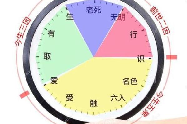 十二因缘是什么意思 十二因缘到底是什么