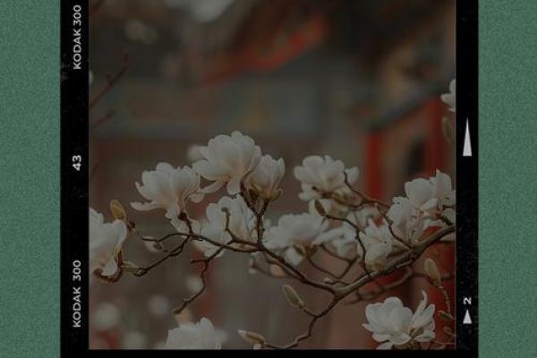 缘分让我们相遇一段奇妙的情感旅程 缘分让我们相遇一段奇妙的情感旅程