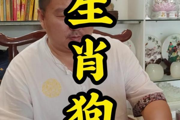 属狗的今年运势和财运怎么样_1994属狗的今年运势和财运怎么样 属狗的今年运势和财运怎么样_1994属狗的今年运势和财运怎么样