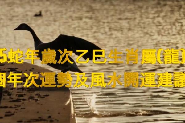 1988年腊月二十八属龙还是属蛇