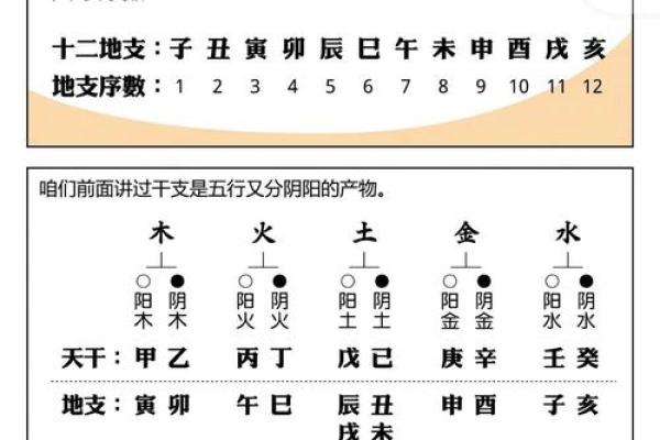 生辰八字指的是哪八字详解八字命理基础