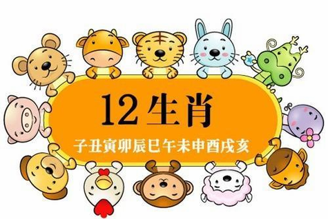 91男和96鼠女姻缘 91年男和96年女鼠结婚有什么注意事项 91男和96鼠女姻缘 91年男和96年女鼠结婚有什么注意事项