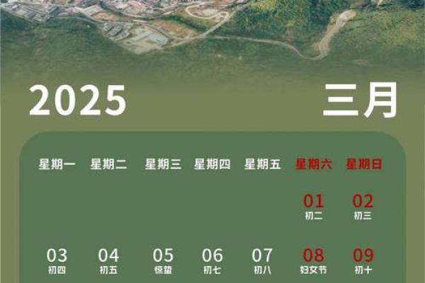 2025年日历带农历表阳历