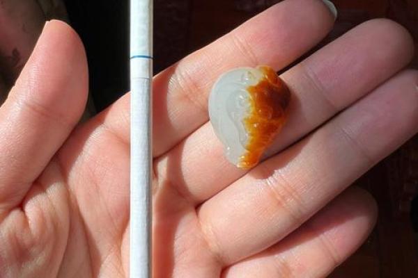 正儿八经是什么生肖(正儿八经的出处) 正儿八经是什么生肖(正儿八经的出处)