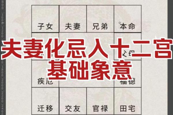 夫妻宫太阳化忌_夫妻宫太阳化忌不用结婚