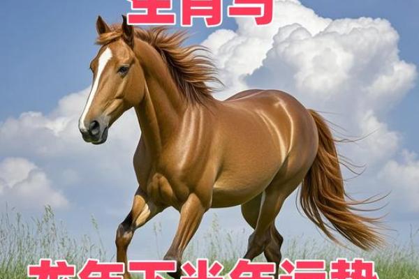 属马人2024年全年运势运程_2024年属马人运势全解析财运事业健康运程大揭秘 属马人2024年全年运势运程_2024年属马人运势全解析财运事业健康运程大揭秘