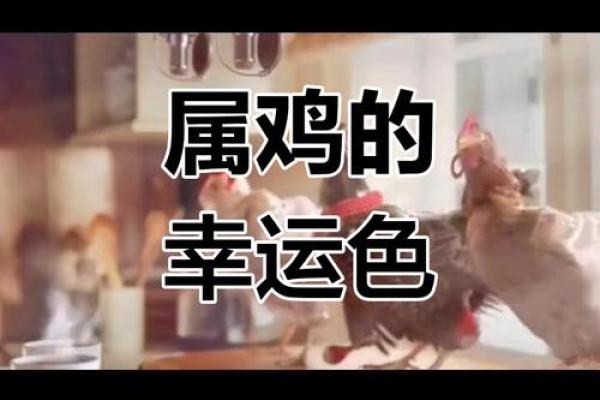 2025年属鸡幸运数字揭秘助你运势飙升 2025年属鸡幸运数字揭秘助你运势飙升