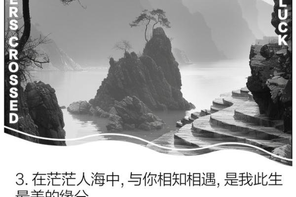 相遇是缘分_相遇是缘分的经典语录 相遇是缘分_相遇是缘分的经典语录