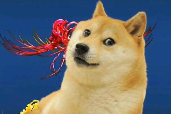 1982年属狗一生大劫年 82年属狗人42岁过七劫