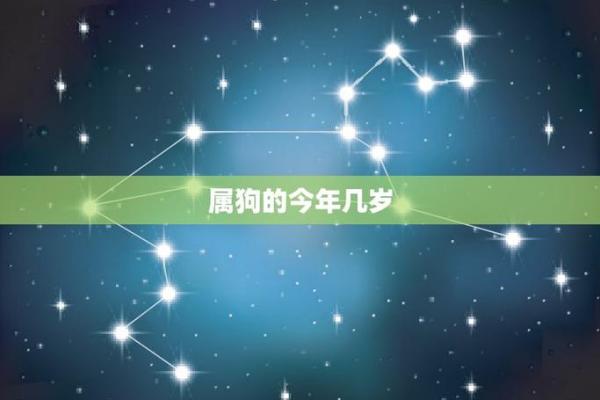 1982年属狗一生大劫年 82年属狗人42岁过七劫