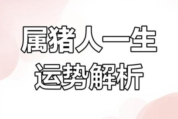 1971年属猪的今日运势_1971年属猪今日运势解析财运事业感情全揭秘