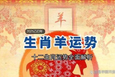 属羊2025年财运怎么样_属羊2025年运势及运程详解
