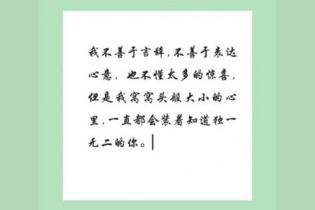 风声鹤唳打一生肖