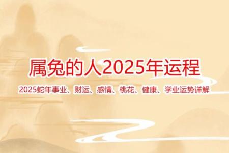 属兔的在2025年的运势好不好呢(1975属兔50岁以后运气如何)