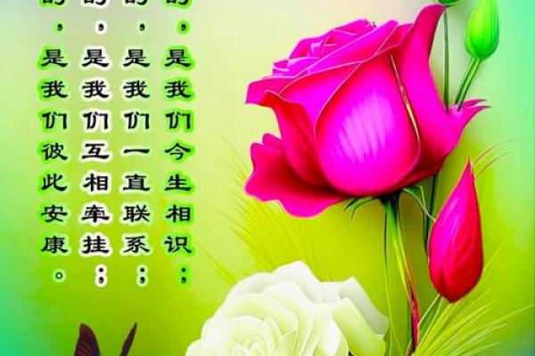 缘分的诗句_形容珍惜缘分的诗句