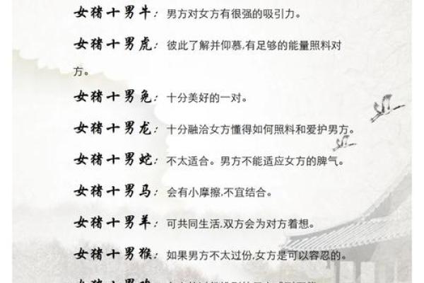 2023年金秋十月生肖婚恋指南属龙与属鼠姻缘配对解析