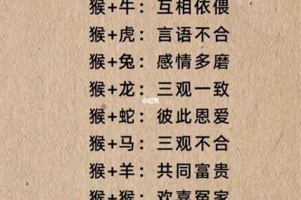 两雄相争是什么生肖