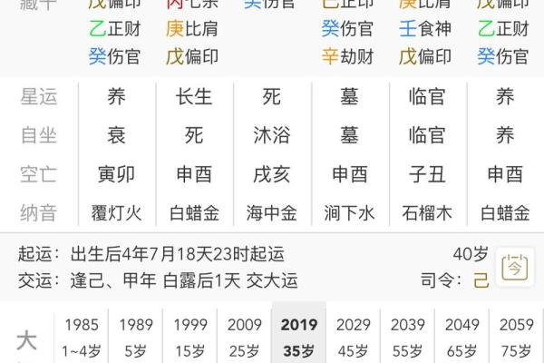 卜易居四柱八字排盘免费 免费四柱八字排盘工具  卜易居精准命理分析