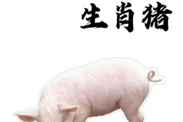 1996年属鼠女孩姻缘解析命中注定的爱情运势 1996年属鼠女孩姻缘解析命中注定的爱情运势