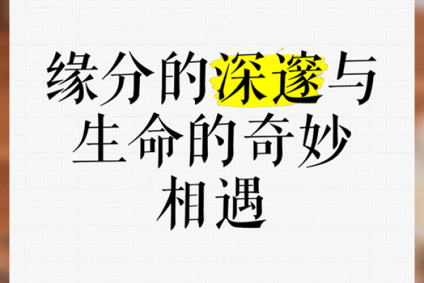 缘分吧 缘分吧揭秘命运中的奇妙相遇
