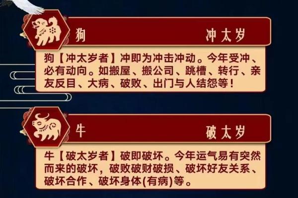 属龙2025年多大了 2025年3月属龙人年龄解析各出生年份岁数速查 属龙2025年多大了 2025年3月属龙人年龄解析各出生年份岁数速查