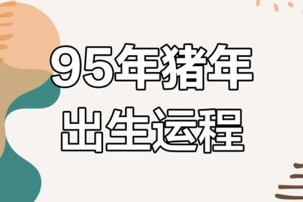 属猪2023年的运势及运程_属猪2023年的运势及运程男 属猪2023年的运势及运程_属猪2023年的运势及运程男