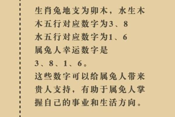 佛光普照是什么生肖(佛光普照是什么生肖和数字7)