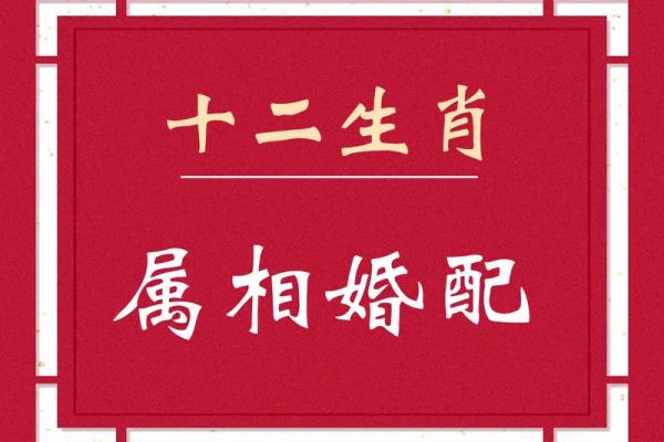 属兔最佳婚配属相 属兔最佳婚配属相揭秘12生肖中的完美伴侣 属兔最佳婚配属相 属兔最佳婚配属相揭秘12生肖中的完美伴侣