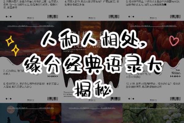 人与人之间的缘分_人与人相处的缘分 人与人之间的缘分_人与人相处的缘分