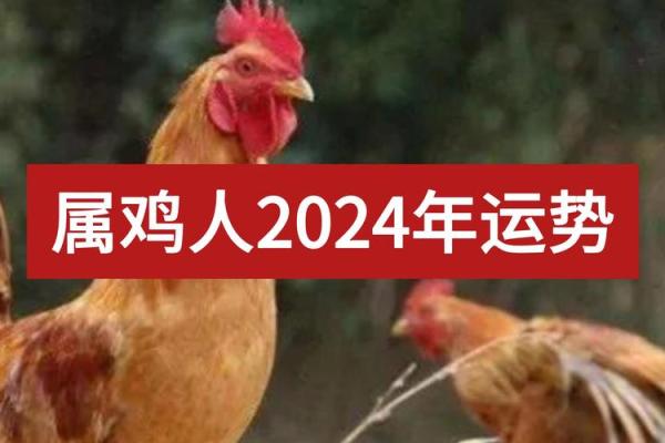 2024属鸡要小心一个人_2024年属鸡需警惕小心身边这个人