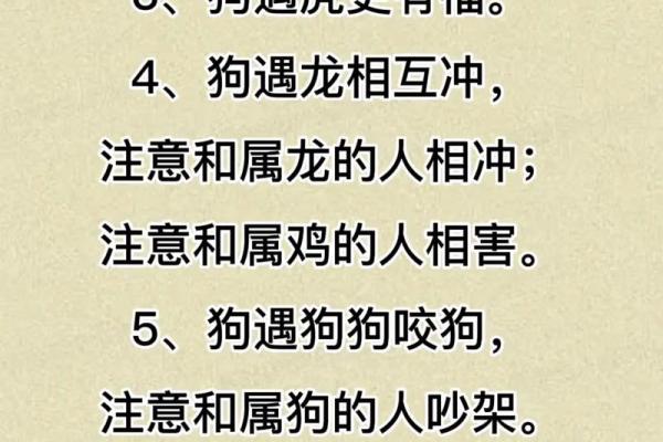 2025年属狗运势详解财运事业爱情全面解析