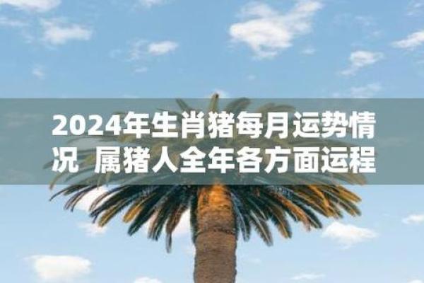 属猪人2026年全年运势及运程_属猪人2026年运势详解全年运程预测与吉凶分析